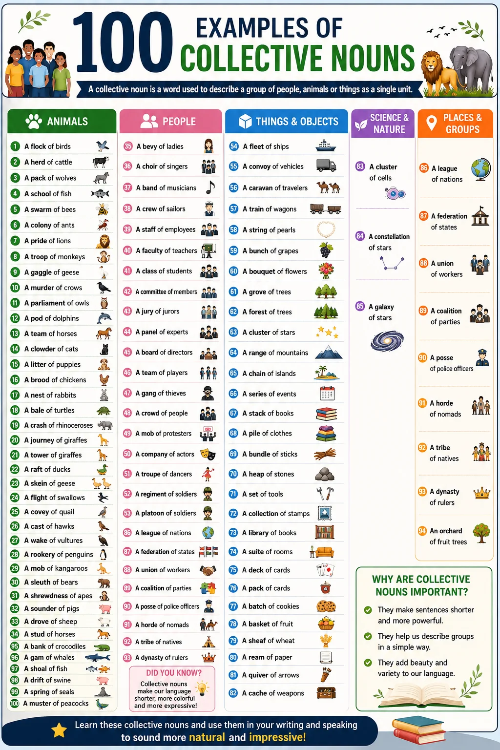 100 Examples of Collective Nouns, Most Important Collective Nouns List 100 Examples of Collective Nouns