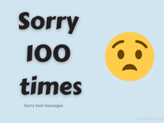 sorry100 times
