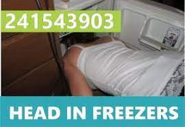 Story Behind 241543903 - Head in Freezers