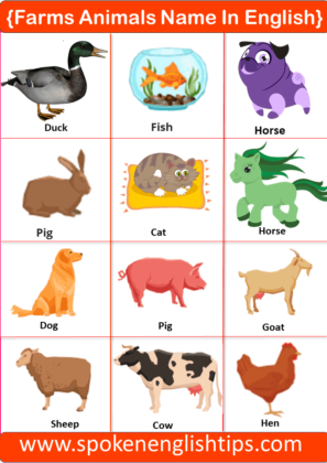 50+ Animals Name In English With Pictures 2024
