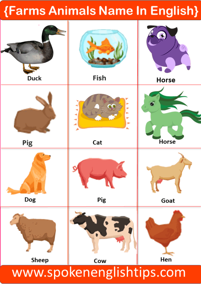 50+ Animals Name In English With Pictures 2024