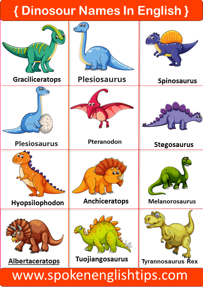 animals name in english