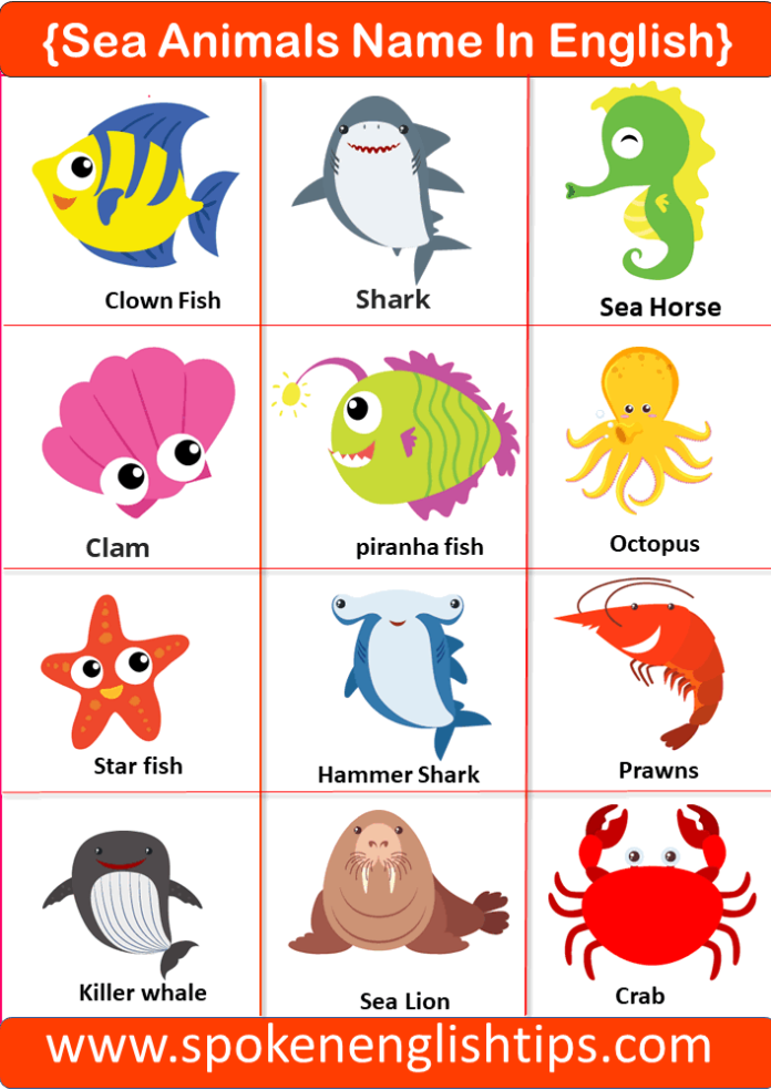 50+ Animals Name In English With Pictures 2024