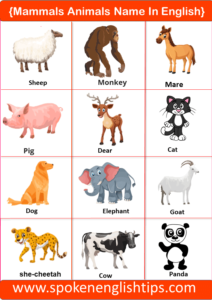 animals name in english