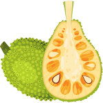Jackfruit