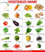 List Of 100 Vegetables Name In English With Pictures