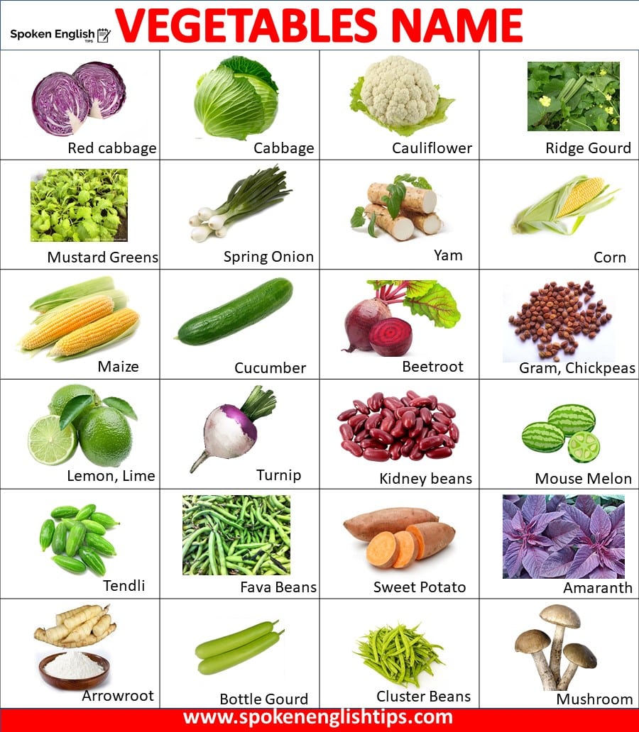 list of vegetables 