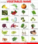 List Of 100 Vegetables Name In English With Pictures