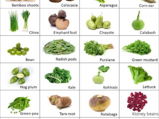 list of vegetables