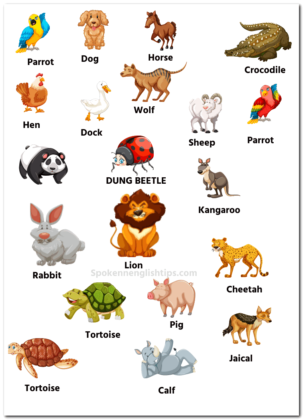 50+ Animals Name In English With Pictures