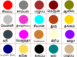 100 colours name in tamil