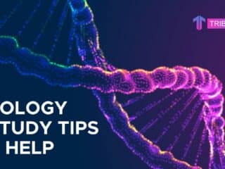 IB Biology HL Study tips and help