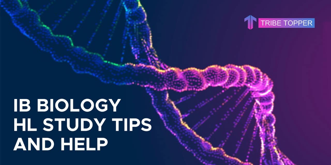 IB Biology HL Study tips and help