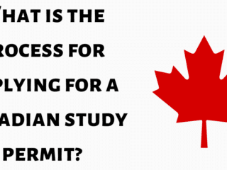What is the process for applying for a Canadian study permit?