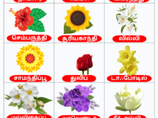 100 flowers name in Tamil and english