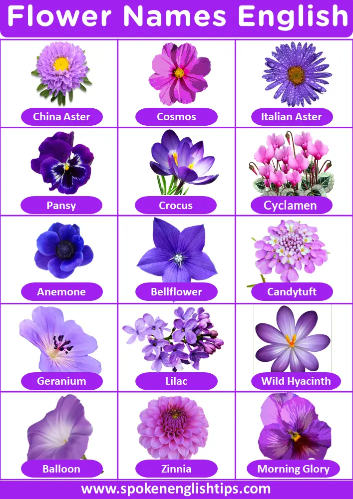 flower names