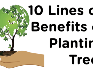 10 Lines on Benefits of Planting Trees