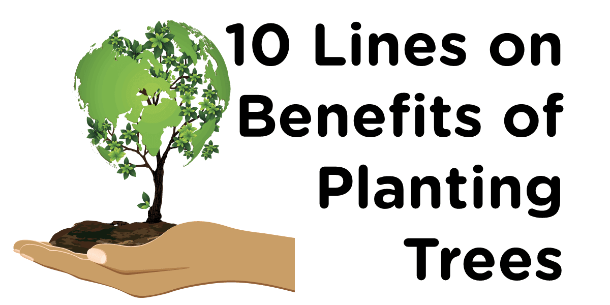 10 Lines on Benefits of Planting Trees