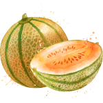 rock melon