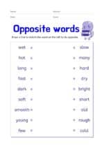 Matching Worksheets For Preschool - Spokenenglishtips