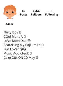Best Instagram Bio for Boys