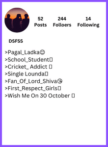 Best Instagram Bio for Boys
