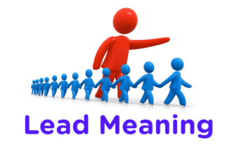 lead meaning