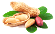 50 Dry Fruits Name in English with Image