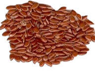 50 Dry Fruits Name in English with Image