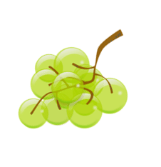 30+ Green Fruits Name | Green Colour Fruits