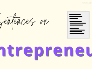 Entrepreneur sentences
