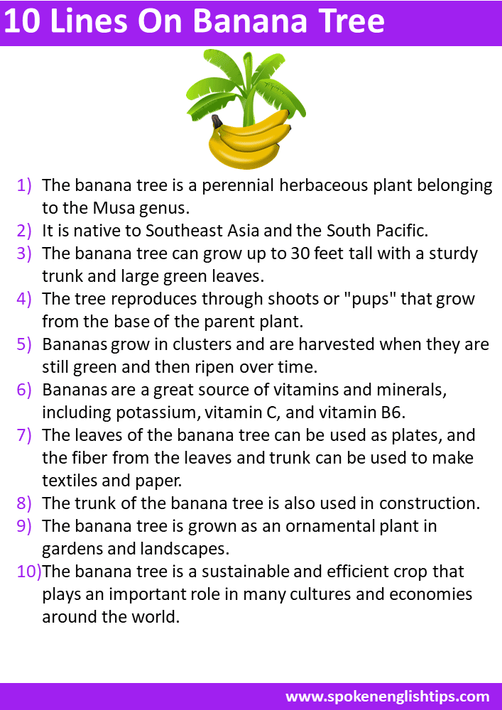 10 Lines On Banana Tree In English