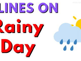 10 Lines On Rainy Day For Class 4