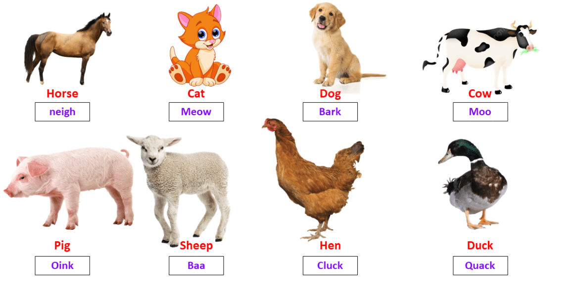 Animal Sounds Name In English For Kids » 