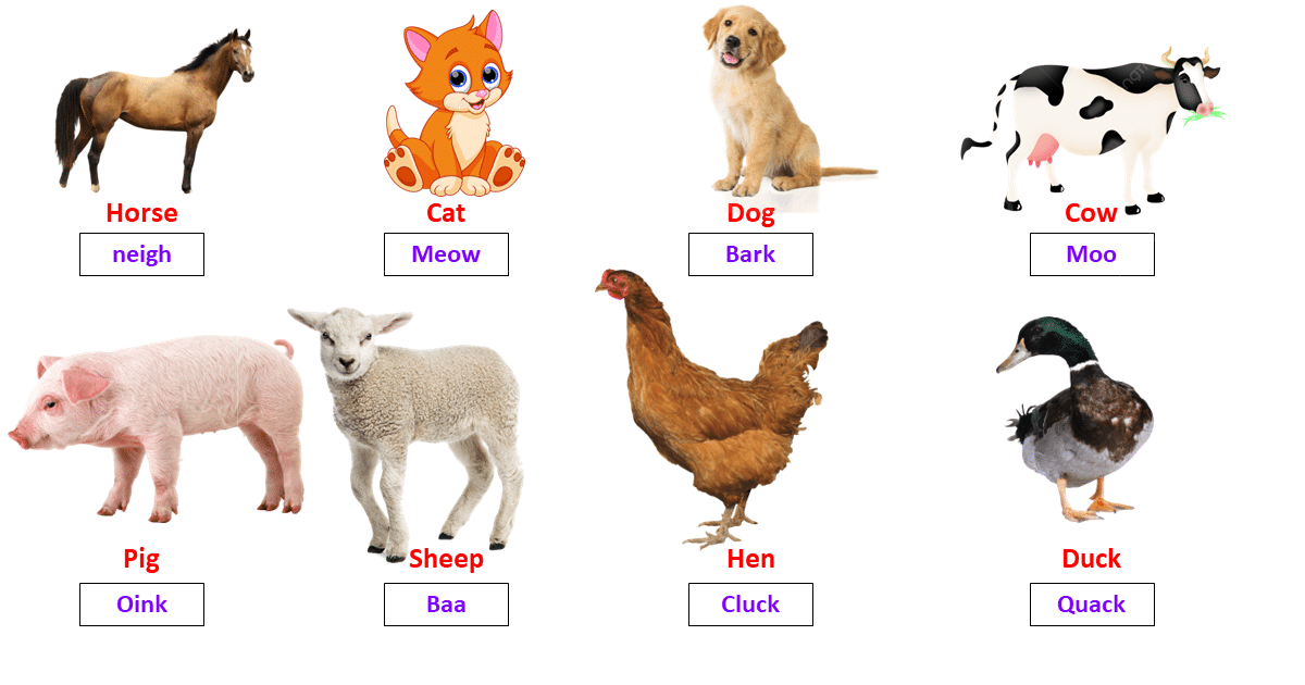 Animal sounds name