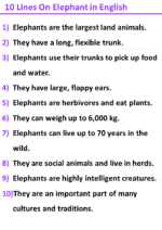 10 Lines On Elephant In English