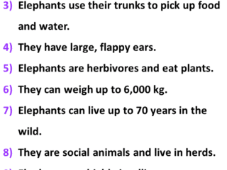 10 Lines On Elephant In English: