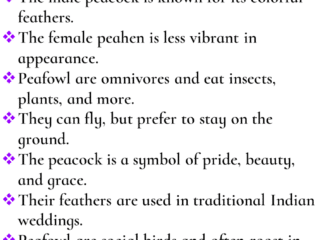 10 Lines On Peacock In English