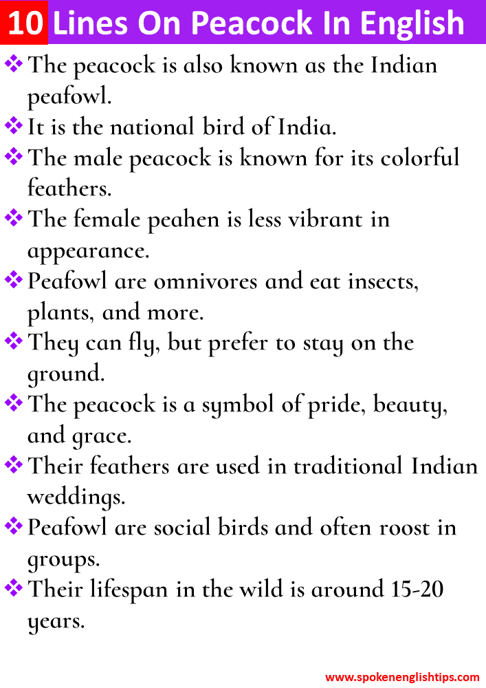 10 Lines On Peacock In English