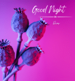 New Good Night Images 48 150x161 