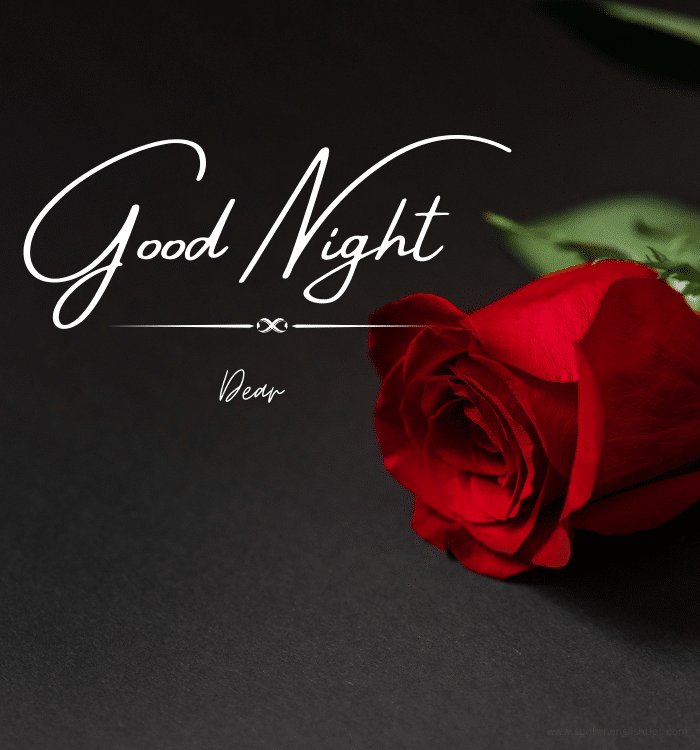 New Good Night Images HD, Quotes and Wishes 2024