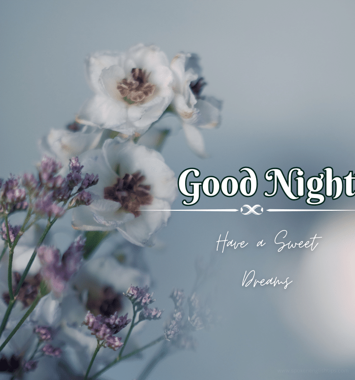 lovely good night images HD
