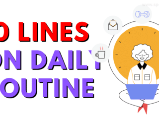 Simple 10 Lines On Daily Routine