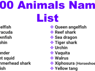 100 Sea Animals list
