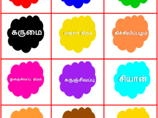 12 Colours Name In Tamil