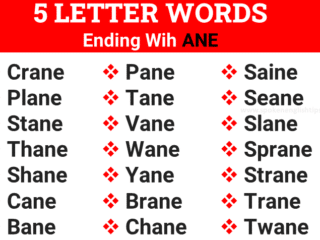 5 Letter Words ending with ane