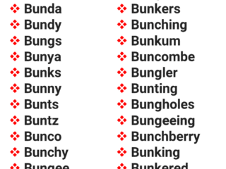 5 Letter Words Starting With Bun