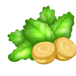 Turnip greens