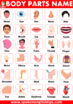 Body Parts Name In English With Pictures