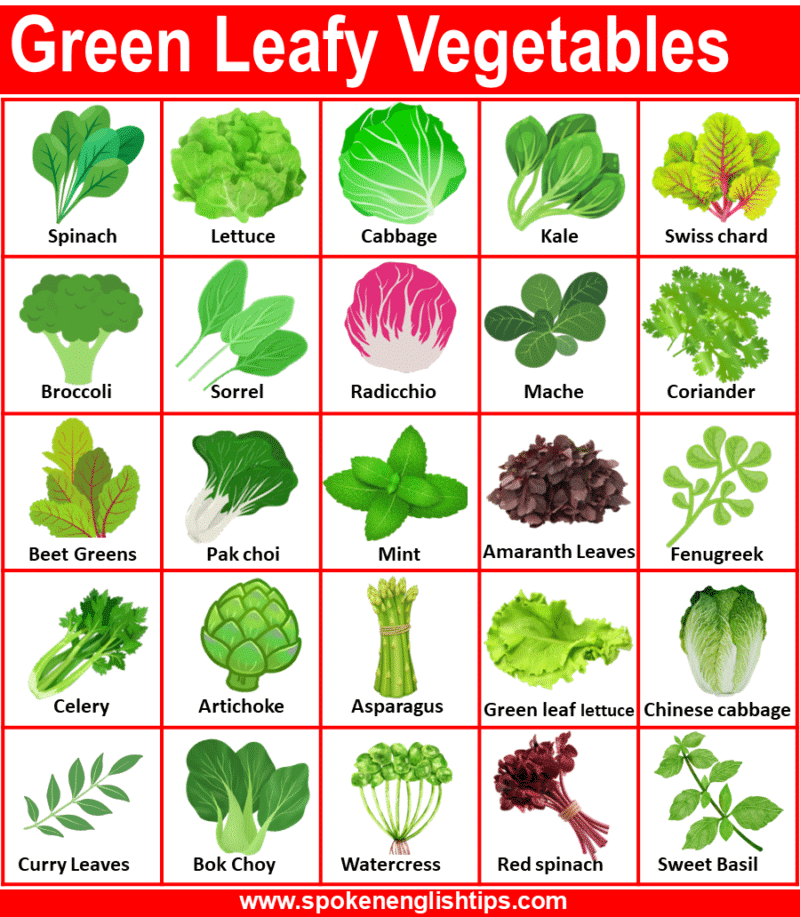 50 Green Leafy Vegetables Names In English With Pictures